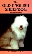 Image of old english sheepdog