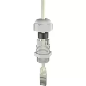 image of Bopla 12002418 Cable gland M20 Polyamide 6 Grey-white (RAL 7035)