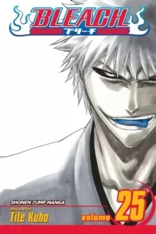 Image of Bleach, Vol. 25