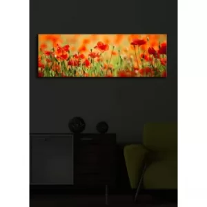 Image of 3090?ACT-13 Multicolor Decorative LED Lighted Canvas Painting