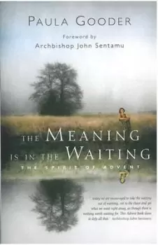 Image of The meaning is in the waiting by Paula Gooder