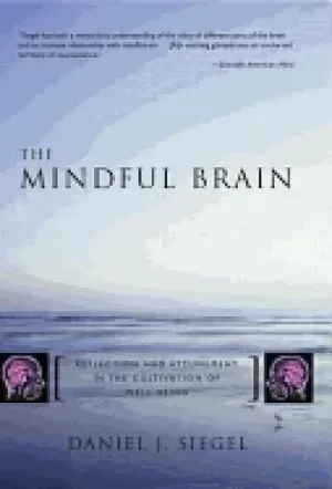 Image of mindful brain reflection and attunement in the cultivation of well being