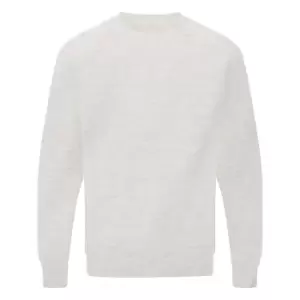 image of SG Mens Raglan Sleeve Crew Neck Sweatshirt (S) (Light Oxford)