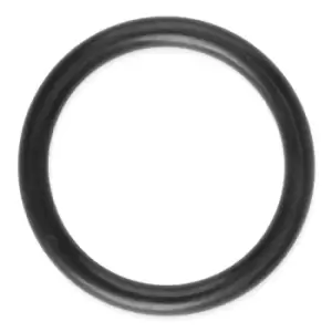 Image of DT Spare Parts Gaskets 2.15046 Seal Ring, radiator cap bolt OPEL,RENAULT,IVECO,Movano Kastenwagen (X70),Movano Bus (X70)