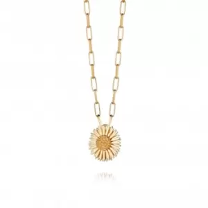 Image of Michaelmas Daisy 18ct Gold Plated Necklace N6122_GP