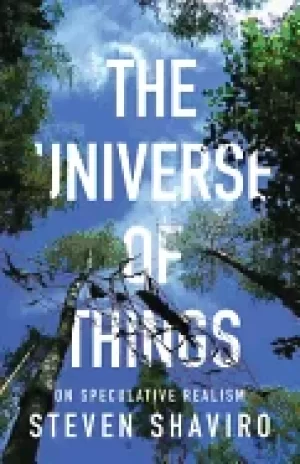 Image of universe of things on speculative realism