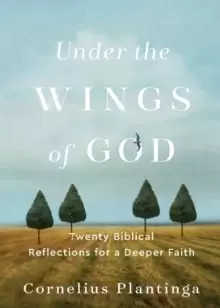 Image of Under the Wings of God - Twenty Biblical Reflections for a Deeper Faith