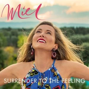 image of Surrender to the Feeling by Miel de Botton CD Album