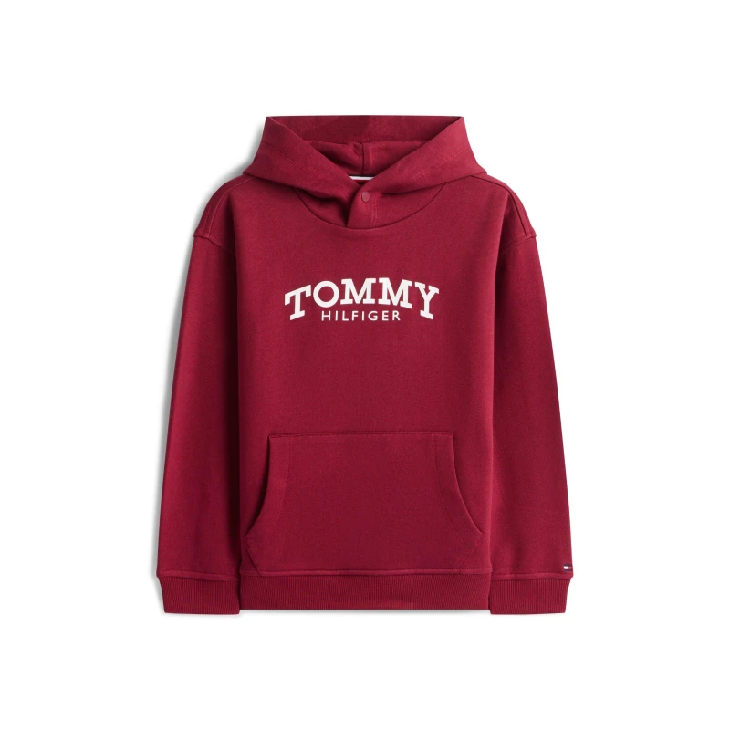 Image of Tommy Hilfiger Kids Print Hoodie Rich Cherry VK0 male 12Y
