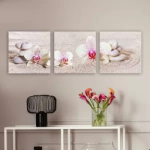 Image of P512287 Multicolor Decorative Canvas Painting (3 Pieces)