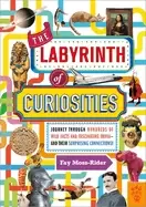 Image of labyrinth of curiosities journey through hundreds of wild facts and fascina