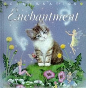 Image of Enchantment Hardback