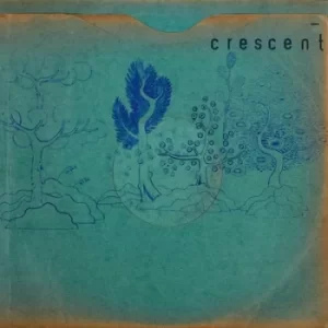Image of Resin Pockets by Crescent Vinyl Album