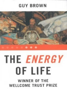 Image of The Energy of Life by Guy C Brown Hardback