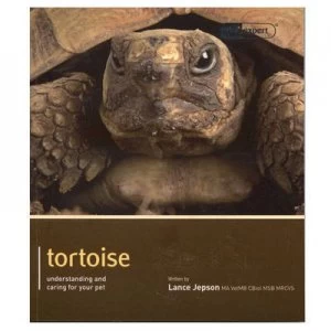 Image of Tortoise - Pet Expert by Lance Jepson Paperback