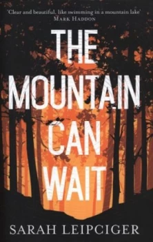 Image of The Mountain Can Wait by Sarah Leipciger Hardback