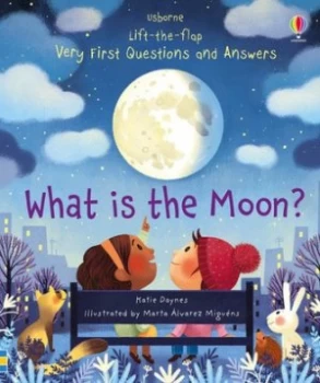 Image of What is the moon? by Katie Daynes
