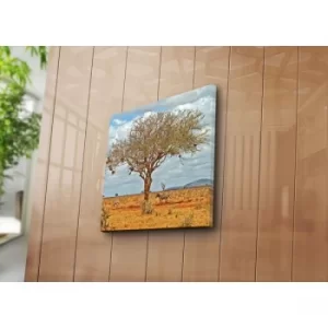Image of 4545NAT-48 Multicolor Decorative Canvas Painting