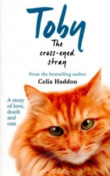 Image of Toby the Cross-Eyed Stray by Celia Haddon Paperback