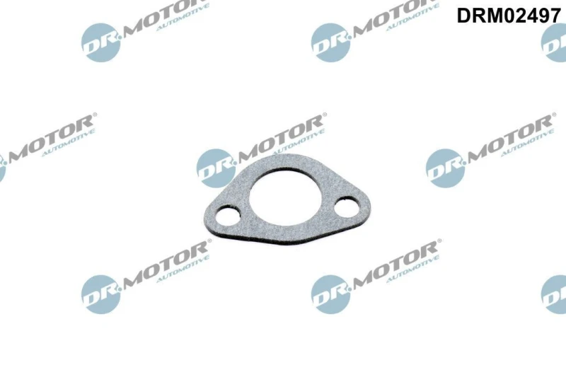 Image of DR.MOTOR AUTOMOTIVE Gasket, coolant flange DR.MOTOR AUTOMOTIVE DRM02497