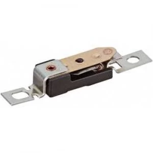 Image of Thermal fuse 60 C 6.3 A 250 V L x W x H 33.5 x 7.2 x 5.4 mm