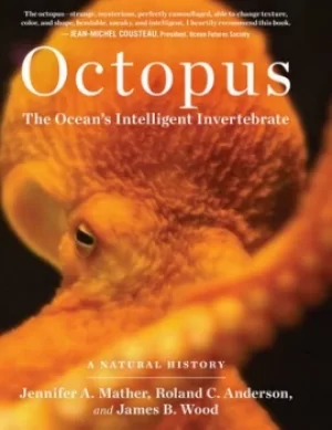 Image of Octopus by Jennifer A Mather