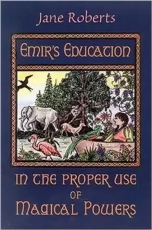 Image of Emir'S Education in the Proper Use of Magical Powers