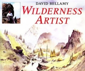 Image of Wilderness Artist by David Bellamy Hardback