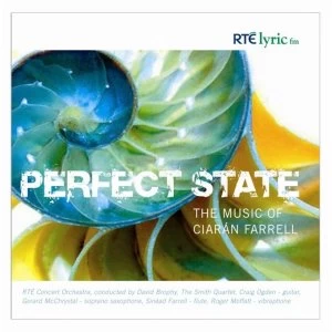 Image of Ciaran Farrell: Perfect State CD