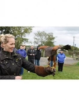 Image of Virgin Experience Days Falconry Taster At A Choice Of 7 Locations