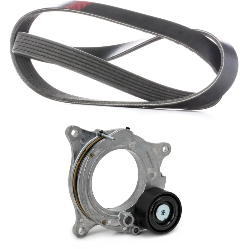 Image of RIDEX 542R1313 V-ribbed belt set V-Ribbed Belt Set (542)