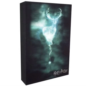 Harry Potter Patronus Luminart Wall Canvas