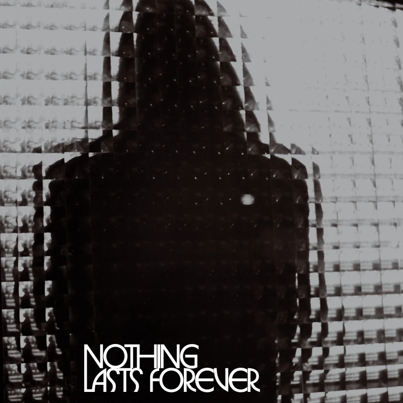 Image of Nothing Lasts Forever Vinyl
