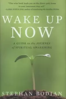 Image of Wake up now by Stephan Bodian