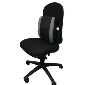 Image of Contour Ergonomics Adjustable Premium Lumbar Back Support BlackGrey