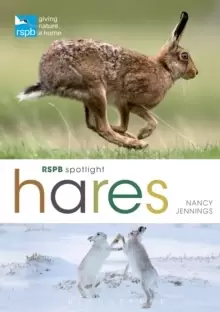 Image of RSPB Spotlight Hares