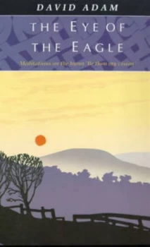 Image of The Eye of the Eagle by David Adam Paperback
