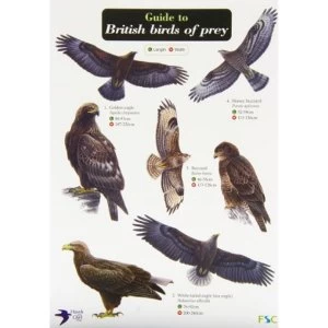 Image of Guide to British Birds of Prey Fold-out book or chart 2011