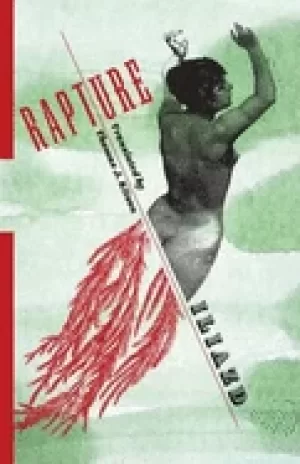 Image of rapture a novel