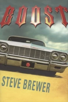 Image of Boost by Steve Brewer Hardback