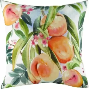 Image of Evans Lichfield Fruit Peach Cushion Cover (One Size) (Multicoloured) - Multicoloured