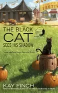Image of black cat sees his shadow
