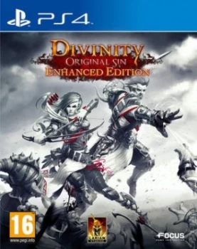 Image of Divinity Original Sin PS4 Game