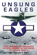 Image of unsung eagles true stories of americas citizen airmen in the skies of world