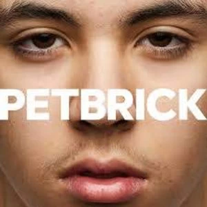 Image of Petbrick - I Skin Colour Vinyl