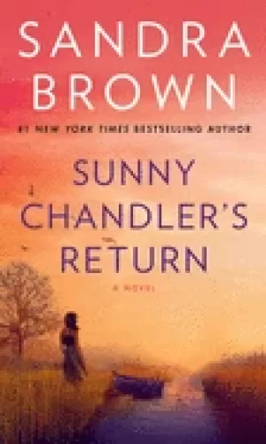 Image of sunny chandlers return a novel