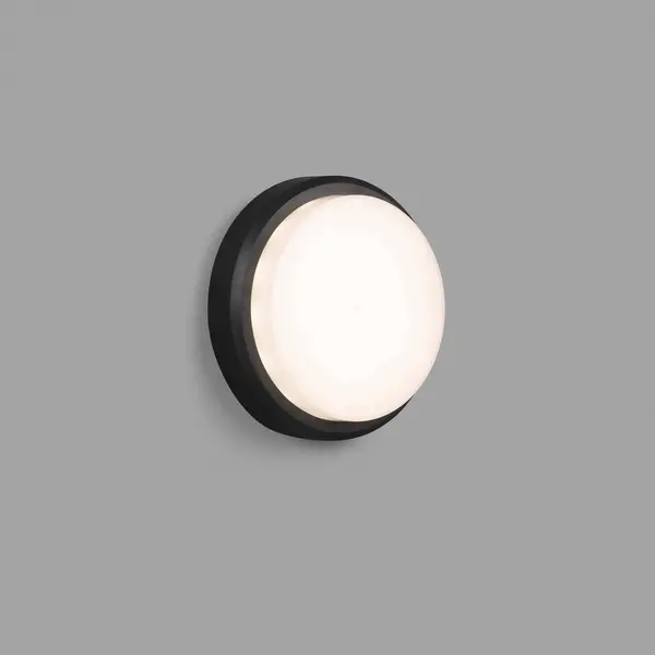 image of Netlighting Tom Outdoor LED Dark Grey Wall Ceiling Lamp 7W 3000K IP65 Dark Grey