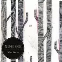 Image of Silver Birches