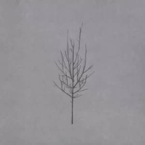 Image of Ones and Sixes by Low CD Album