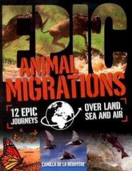 Image of Animal Migrations by Camilla De La Bedoyere Paperback